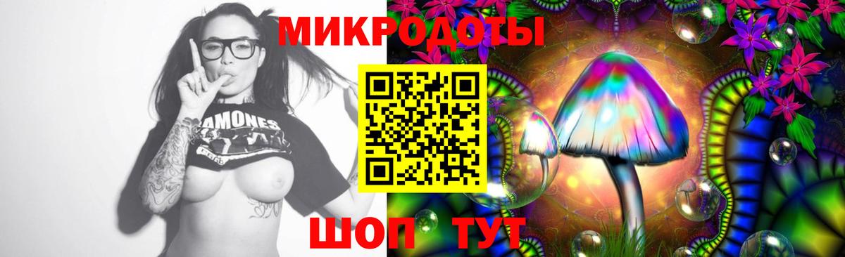 Псилоцибиновые грибы Psilocybine cubensis Миллерово